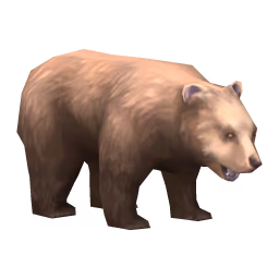 Bear: Cinnamon Bear