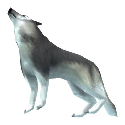 Wolf: Gray Wolf, Pack Wolf