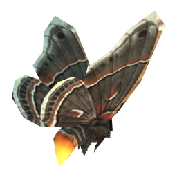 Cave Moth