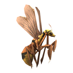 Giant Wasp: Potter Giant Wasp