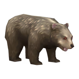 Bear: Shaggy Bear