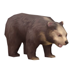 Bear: Jumble Bear