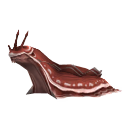 Giant Slug: Crimson Giant Slug