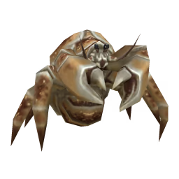 Crab: Sandhopper Crab