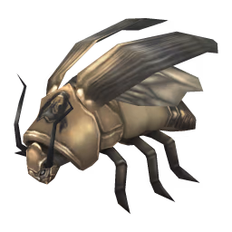Cockroach: Deaths Head Cockroach