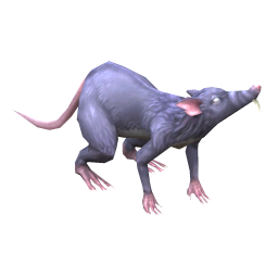 Scrap Rat
