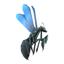 Giant Wasp: Blue-winged Giant Wasp