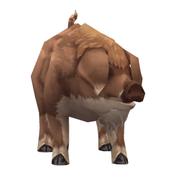 Cave pig