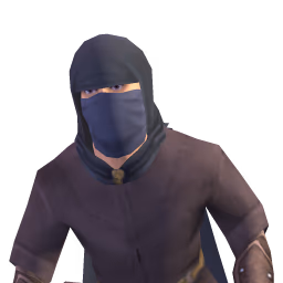 Furtive Stranger