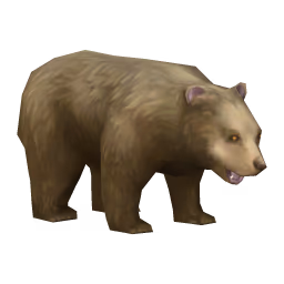 Bear: Grizzly Bear