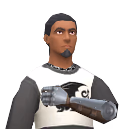 City Guard