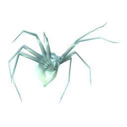Baby Titan Spider