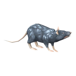 Giant Rat: Dirty Giant Rat, Black Giant Rat
