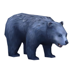 Bear: Bristly Bear