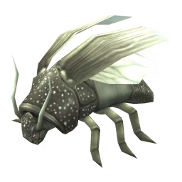 Cockroach: Speckled Cockroach