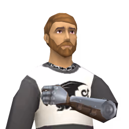 City Guard