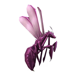 Giant Wasp: Velvet Giant Wasp