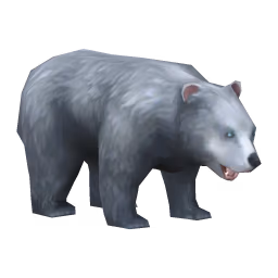 Bear: Gray Bear