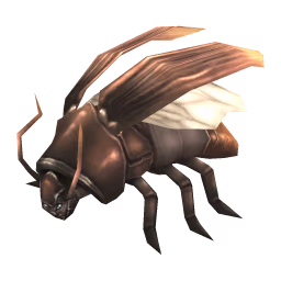 Cockroach: Smokeybrown Cockroach