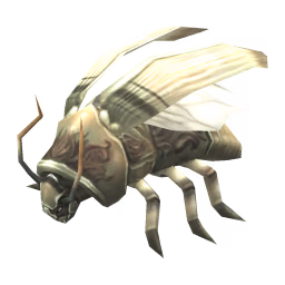 Cockroach: Hairy Cockroach