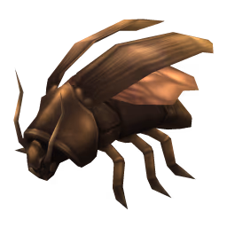 Cockroach: Blattid Cockroach