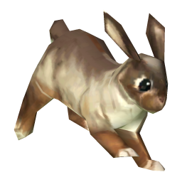 Wellington (rabbit)
