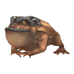Fire Toad: Broad Footed Fire Toad