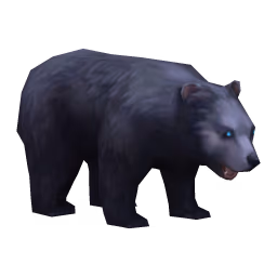 Bear: Black Bear