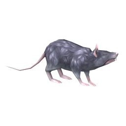 Giant Rat: Bristle Giant Rat, Nonsense Giant Rat