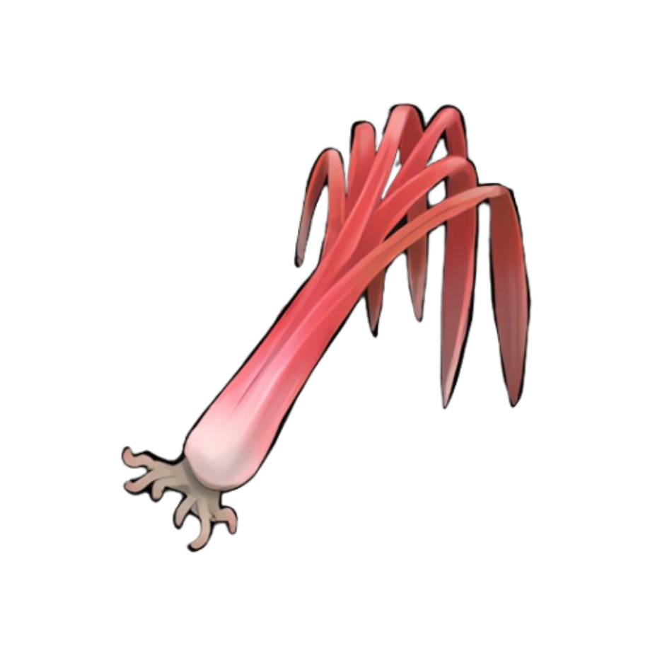 Wondrous Leek