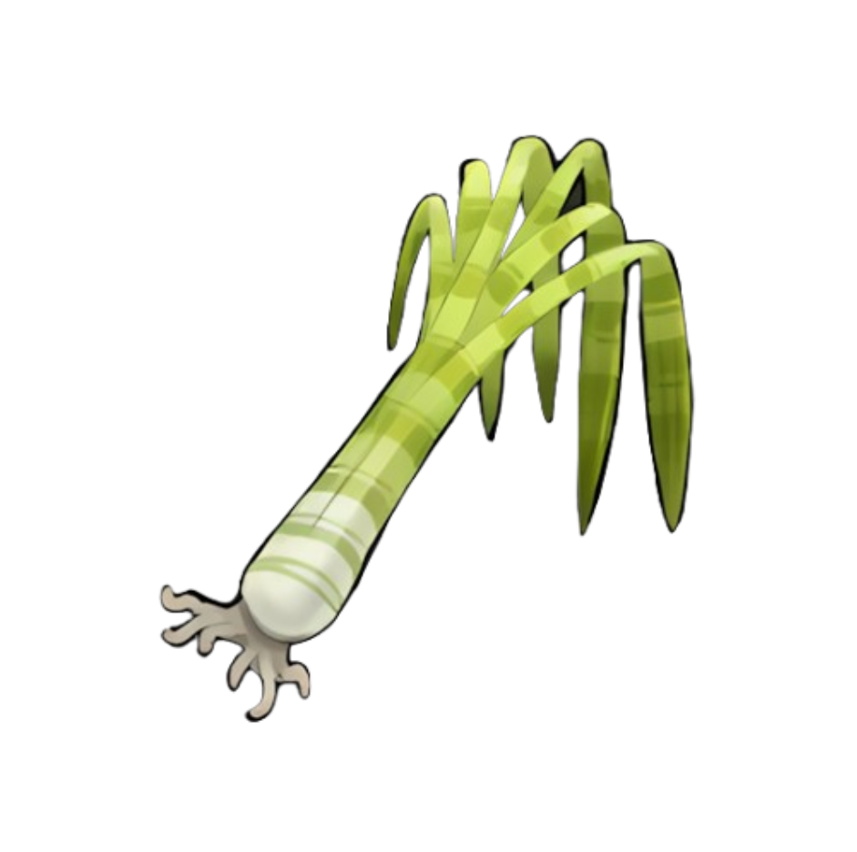 Banded Leek