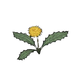 Streaky Dandelion