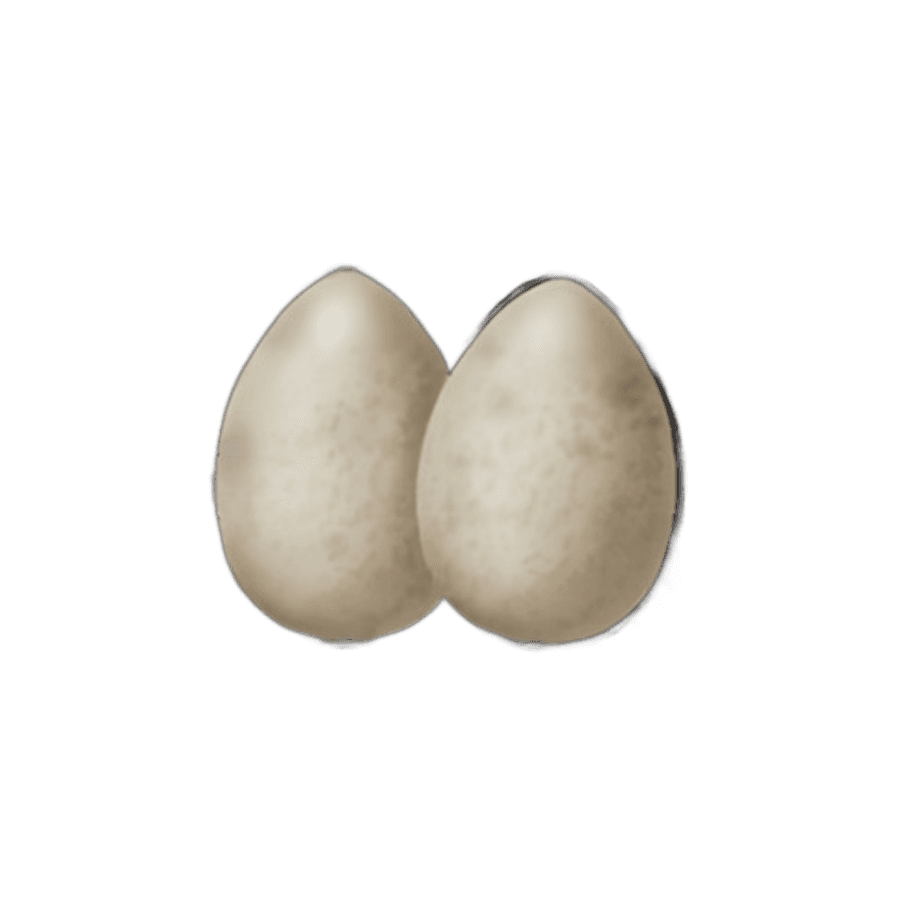 Appetizing Eggs