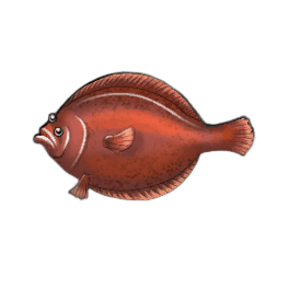 Arrowtooth Flounder