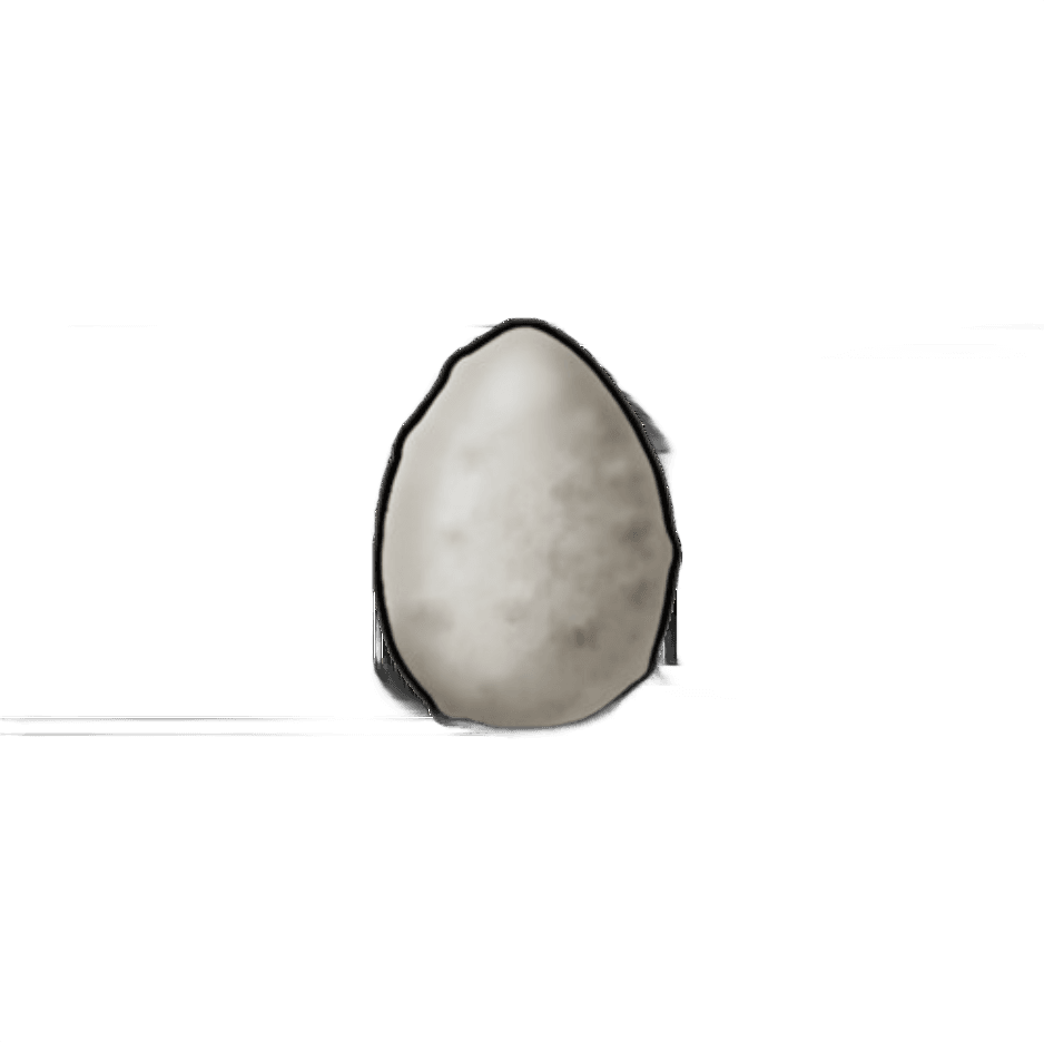 Basic Eggs