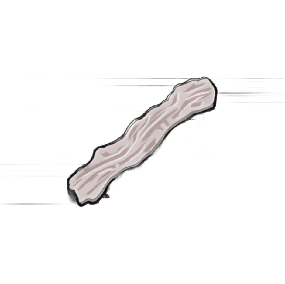 Basic Raw Bacon