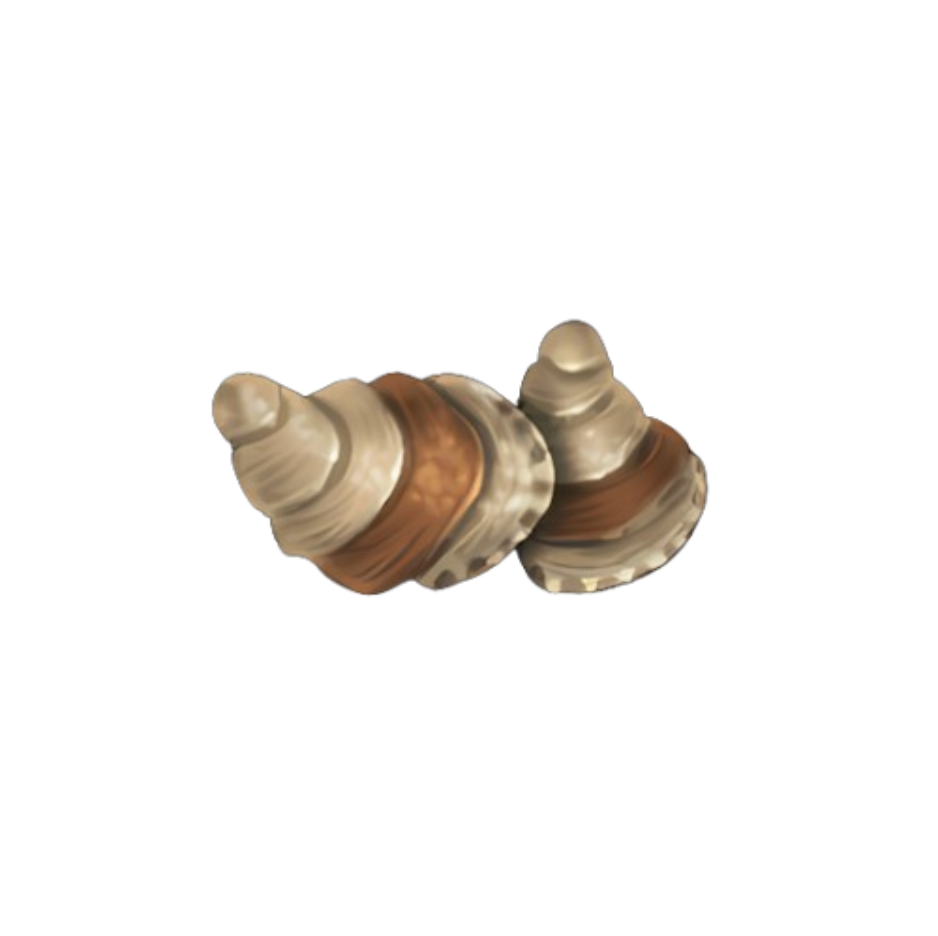 Beach Oyster