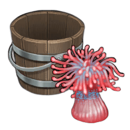 Beadlet Anemone [Passive]