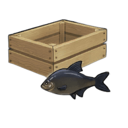 Black Bream