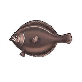 Black Flounder