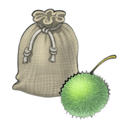 Bristle Spinseed