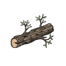 Coarse Ash Log