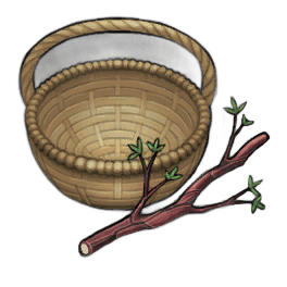Coarse Yew Branches