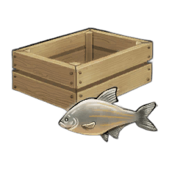 Cream Bream