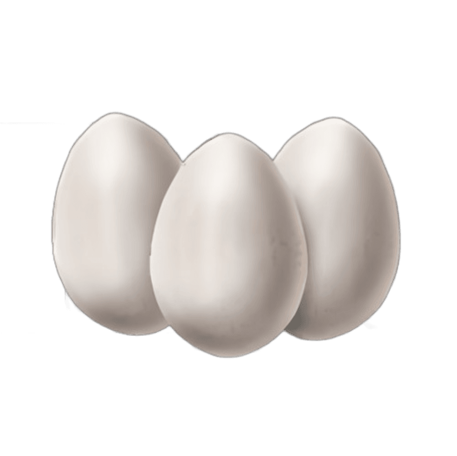 Delicious Eggs