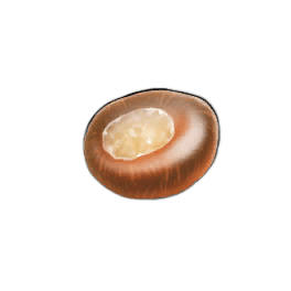 Dewkin Chestnut
