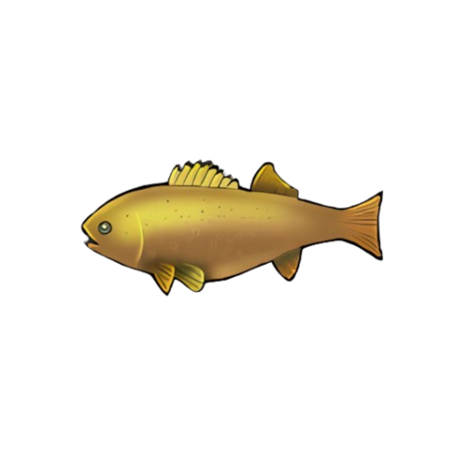 Dropthe Bass