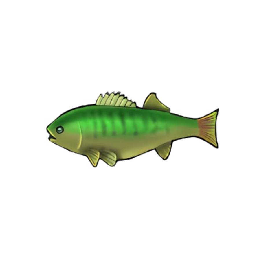 Emerald Bass