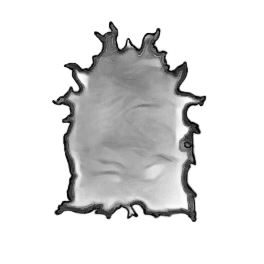 Fine Black Cow Leather