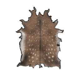 Fine Deer Hide